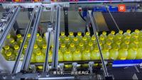 24000BPH Machine d'emballage à bande étroite et enveloppée