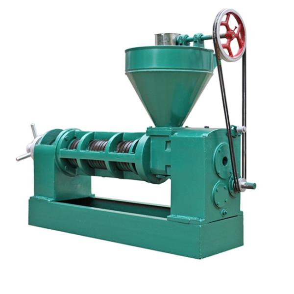 KG Industrial Oil Extractor High Oil Yield Cold Pressed Rosehip Oil Press Automatic Moringa Oil Pressers Pressing Machine