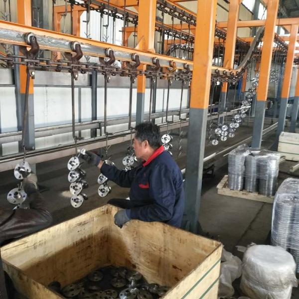 Norme jaune de la peinture Bs4504 de bride de tuyau galvanisée par Ss316 de Wnrf Pn25 d'acier