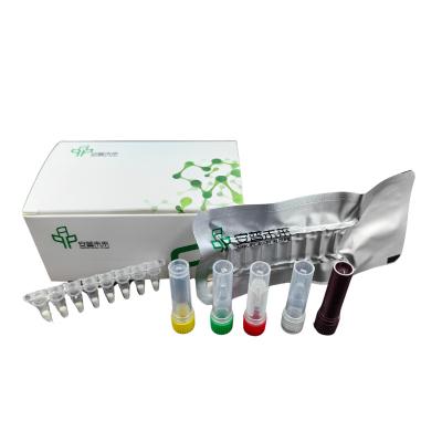 Nucleic Acid Detection Shrimp Acute Hepatopancreatic Necrosis Livestock Disease Kit