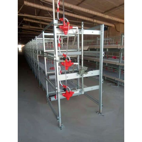 Cheap Price Chicken House Automated Feeding Drinking Equipment with Automatic Feeding and Drinking Systems for Low Operation Cost