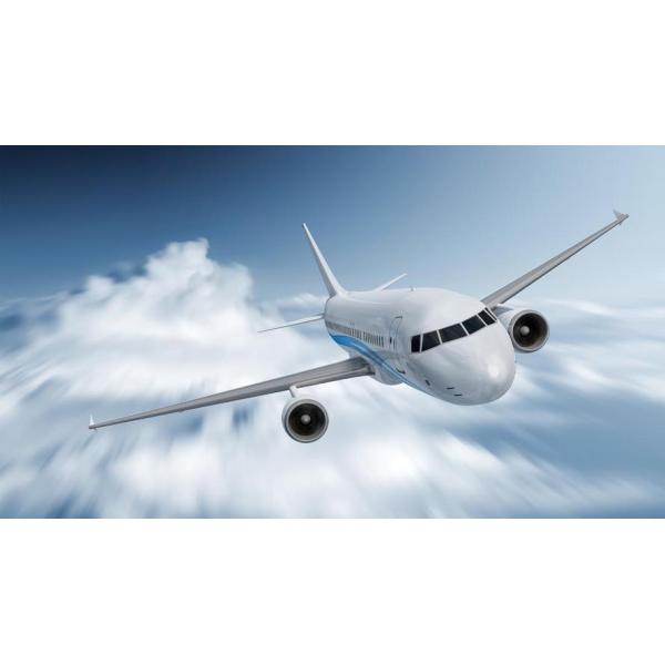 Международная дверь к обслуживанию Китаю компаний по транспортировке грузов перевозки двери поднимает перевозимый самолетами груз к Колумбии Греции