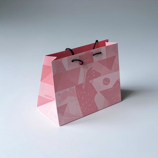Custom Printed Eco-Friendly Paper Gift Bags with Cotton Rope Handles