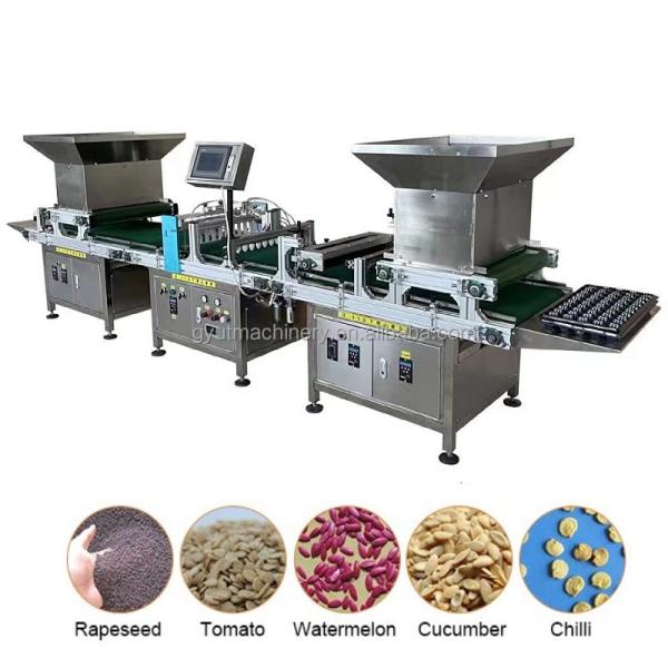 Manufacturing Plant Seeding Vegetable Seeds Sowing Machine with High Survival Rate