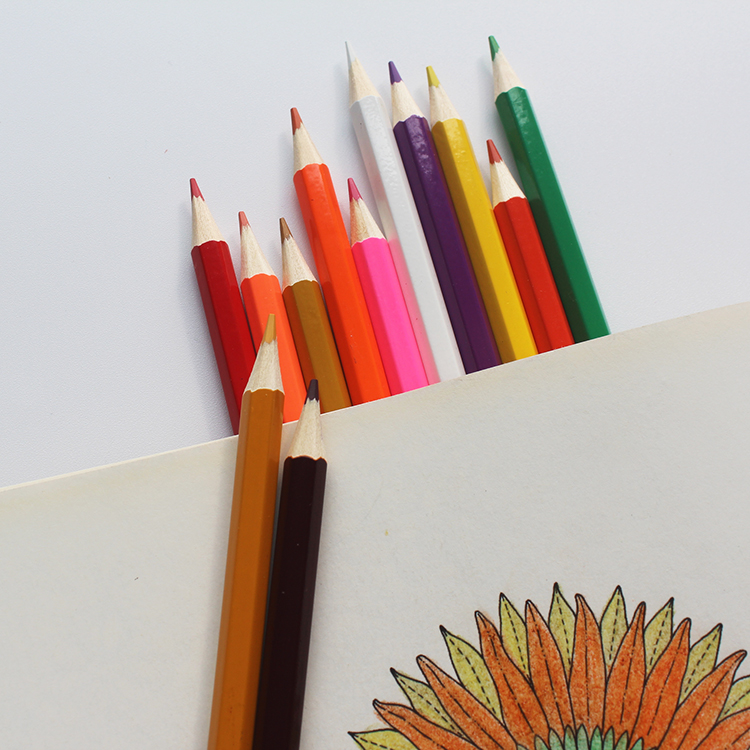 Custom Diy Artist Colorful Set Of 24 Multi Long Colored Pencils Set