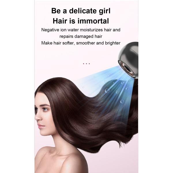 370g Salon 800W Portable Hair Blow Dryer With Diffuser