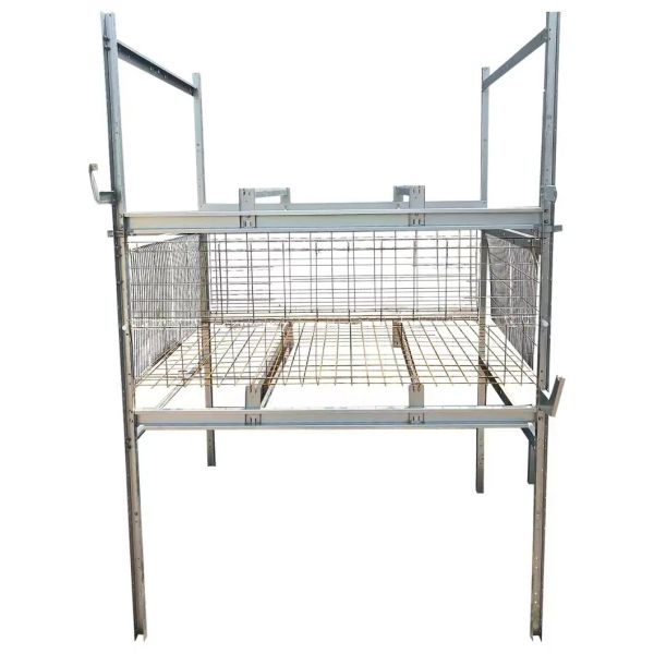 Automatic Poultry Farming Equipment with Nipple Drinkers 48VDC Dimmable Lighting and Galvanized Steel Frame
