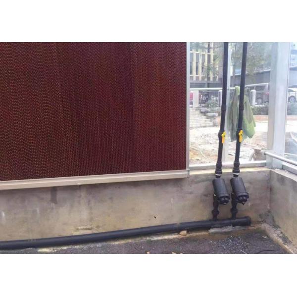 Commercial Plastic Film Greenhouse , Single Span Greenhouse For Flower