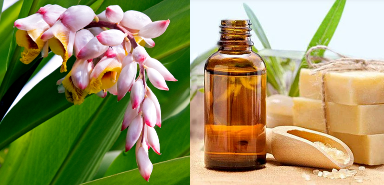 Natural Soap Fragrances  Ginger Flower Fragrance Essence Oil For Shampoo and Shower Gel & Scented Soap Making- IFRA