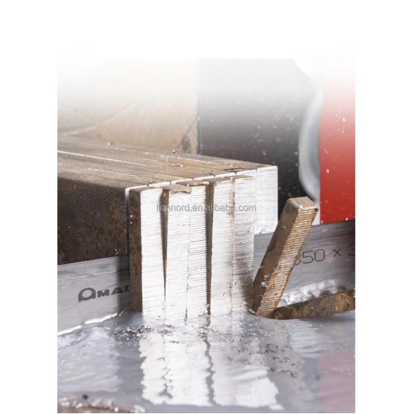 SS Steel Material Metal Saw Blade with Customizable Thickness