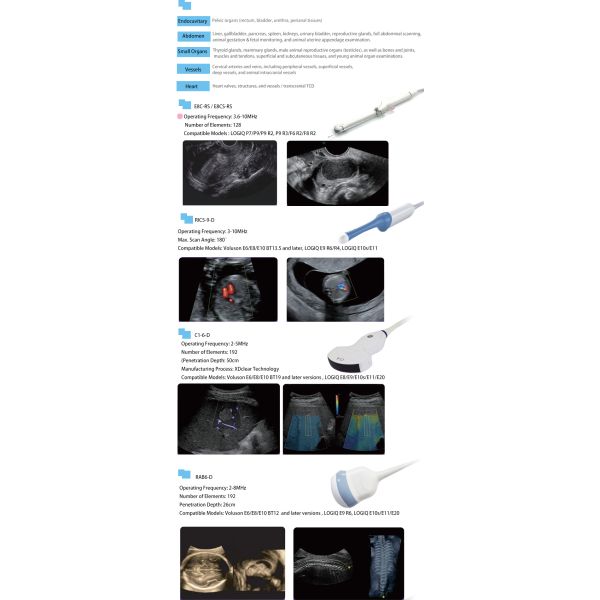 High Frequency Endocavitary Ultrasound Probe Intracavitary Ultrasound Sensor