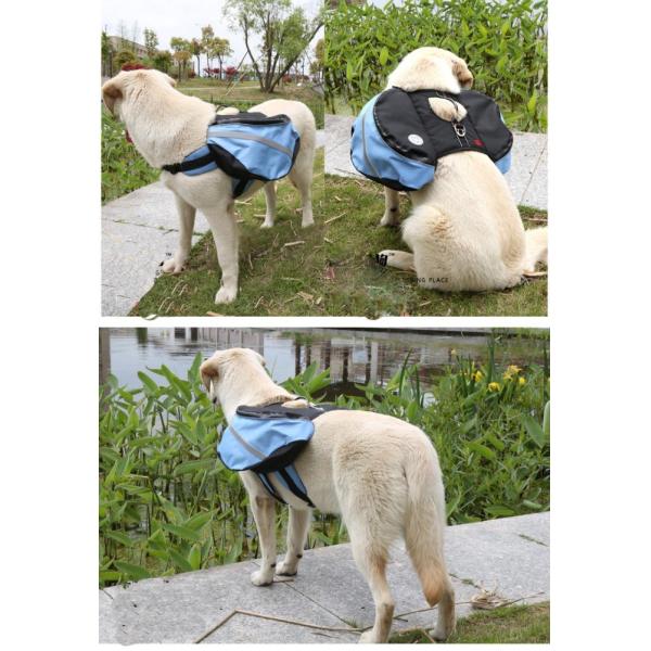 Качественный Оксфордский обучение на открытом воздухе