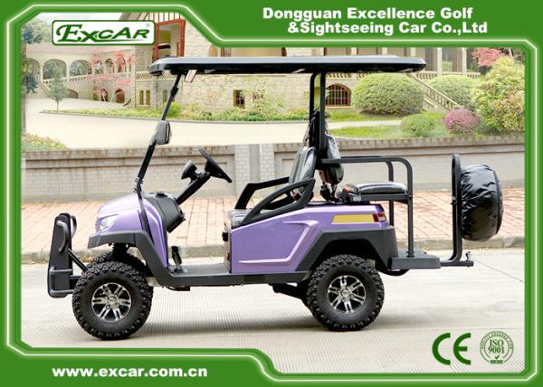 4 Wheel Electric Hunting Carts Fuel Type Hunting Buggy Car 275AH Controller