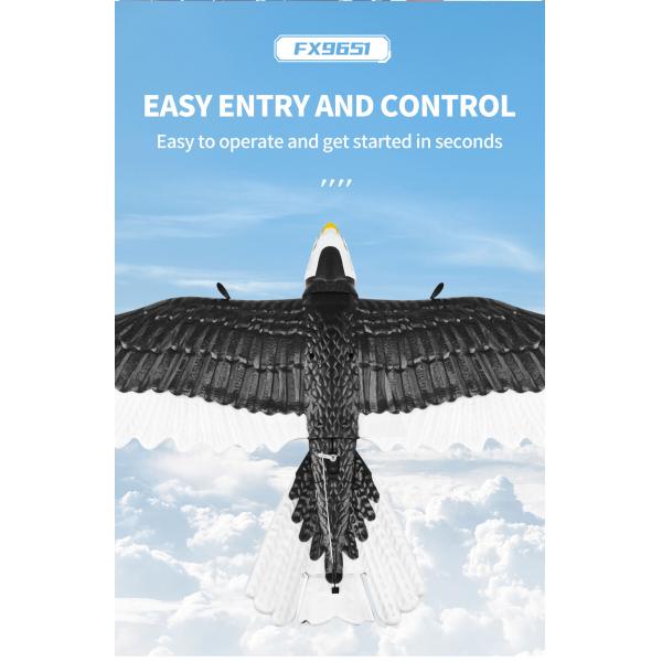 Features RTF 3ch Epp Foam Rc Simulation Wingspan Bald Eagle 2.4g Rc Glider Airplane Toys with 14 Years up Age Range