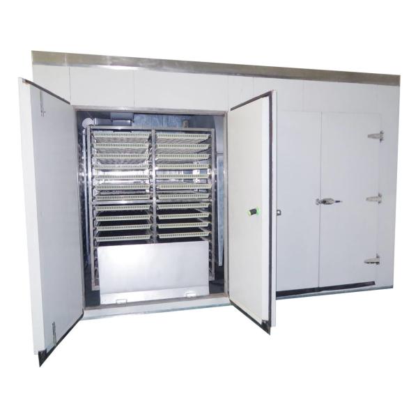 HengShou Commercial Industrial Vegetable Drying Machine AC380V ODM
