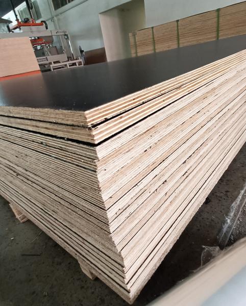 Plywood laminado de madera de álamo Pp