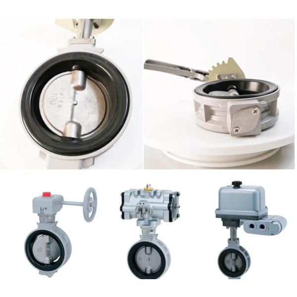 Port Size with Customer's Requirements Sea Water Butterfly Valve DN100 DN500 2