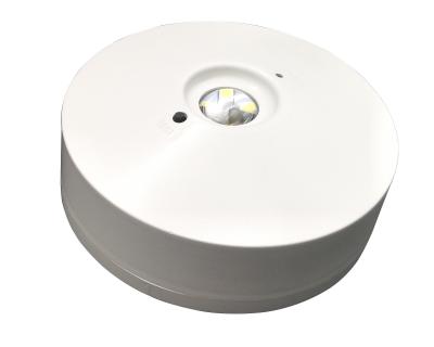 Sinais recarregáveis não mantidos 220V da saída de emergência da luz de emergência do diodo emissor de luz IP20