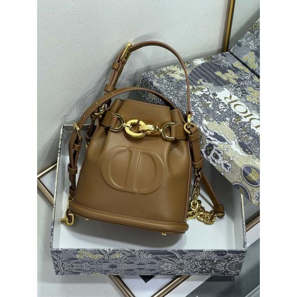 Выбитая телячья кожа сумки спорта Dior CD седловины золота сумки C'est Dior христианская