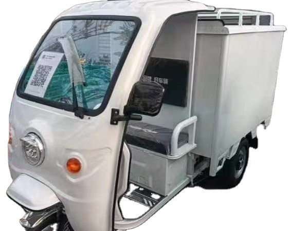1000W Electric Tricycle for Freight Distribution and Express Delivery Large Capacity Closed Vehicle
