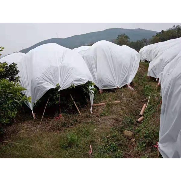 Durable Farm Frost - Resistant Agriculturer Nonwovens for Greenhouse & Field Use