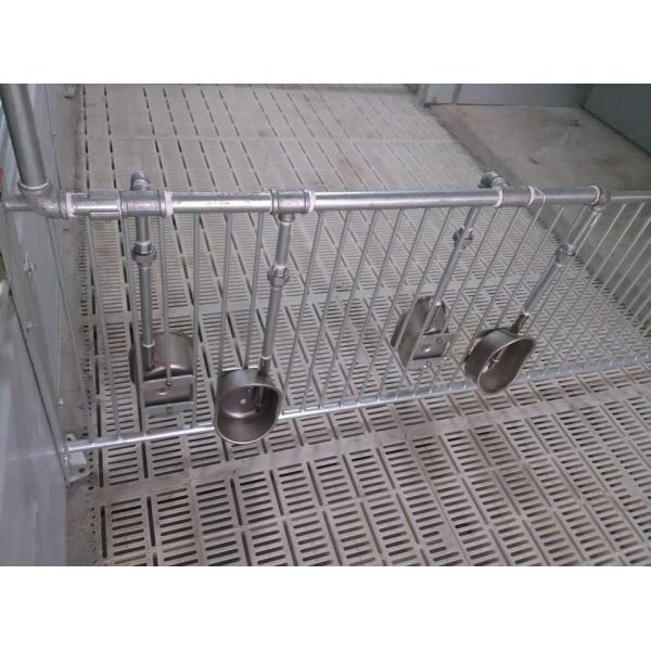 Medium Automatic Water Drinker With Continuous Clean Water Supply In Carton