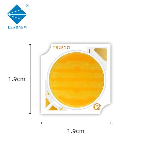 1919 COB LED Chip 9V-24V Input Voltage 15W-30W Power Range with 120° Viewing Angle for LED Spotlight & Car Light