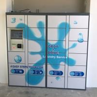 Casier électronique de blanchisserie en acier de nettoyage à sec avec des portes de personnalisation