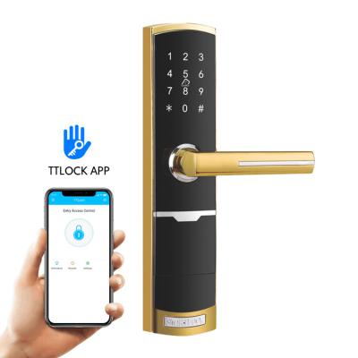 G2 Gateway Electronic Smart Door Locks 310mm Password  Smart Lock