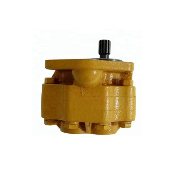 Excavator Hydraulic Parts E330D E336D Hydraulic Fan Pump 259-0815