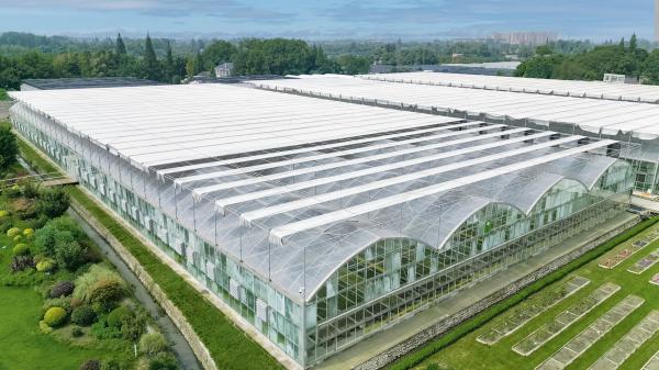 Wind Resistance Multi Span Film Greenhouse With Ventilation System