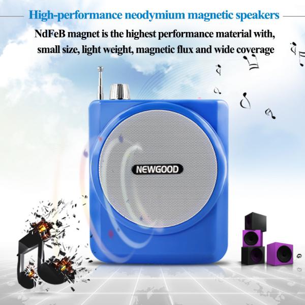 2.4G Digital Voice Amplifier with Recorder FM Radio MP3 Playing,Wired Microphone Headset Waistband and Belt