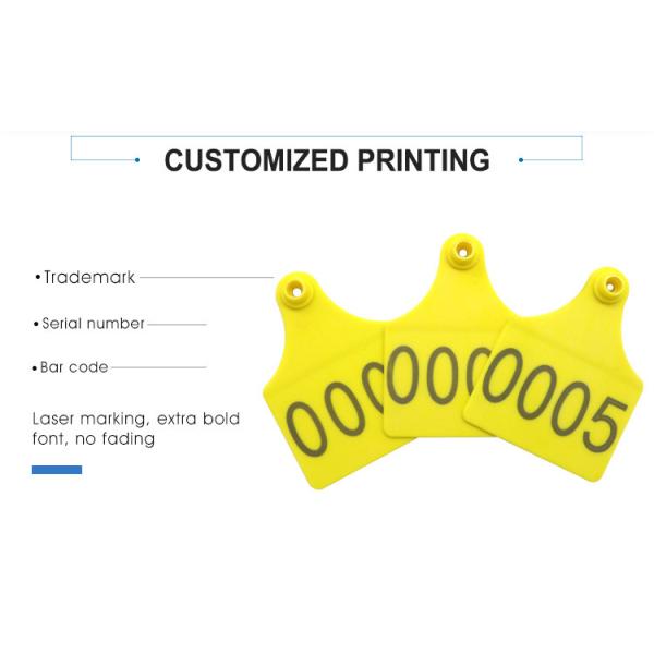 Engravable PE Livestock ID Tags Custom Ear Tags For Cattle
