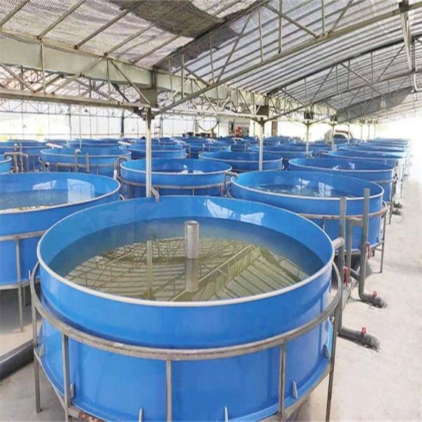 0.3mm HDPE Geomembrane Damliner Reforçado Liner de Reprodução de Peixes para Liner de Despejo