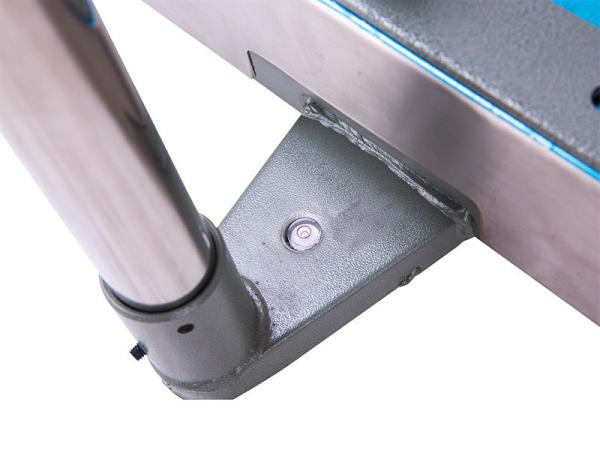 Báscula electrónica de acero inoxidable personalizable de 500 kg con barandilla