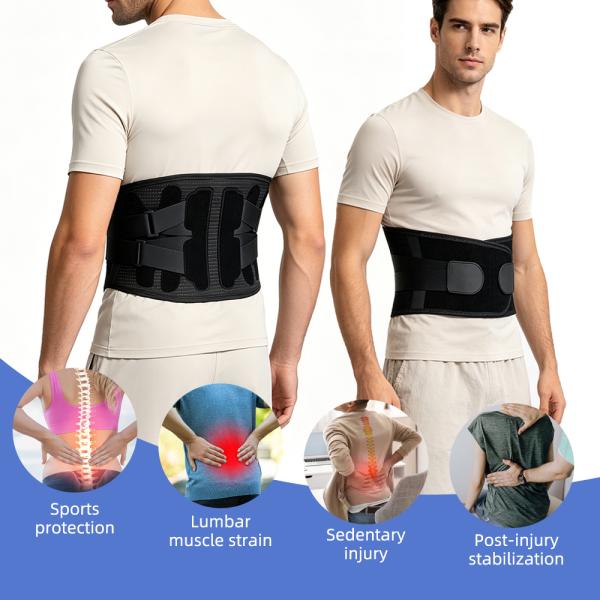 Adjustable Lumbar Support Back Brace with 6 Detachable Support Strips, Dual Pull Compression Straps Breathable Mesh Waist Belt 