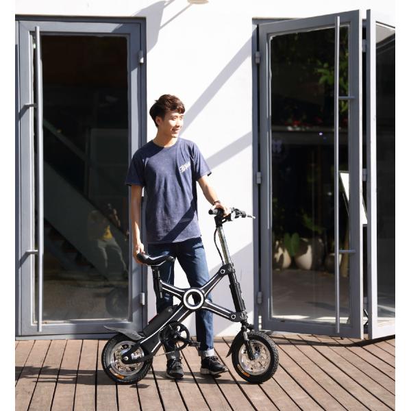 Max Range 40KM E Bike Folding Mini Electric Bike With 36V Voltage 8.5AH Lithium Battery