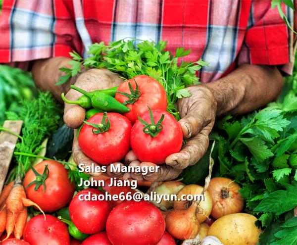 All Crops Application Fast Soluble Organic Amino Acid Powder for Boosting Yield and Cleansing Toxins