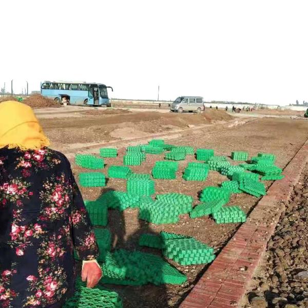 Road HDPE Black Green Gray Diamond Grid Gravel Grid System for Parking Lot and Driveway