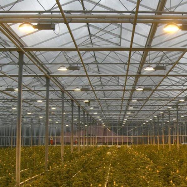 Tipo aparência de Venlo da estabilidade da estufa da estufa/Venlo do padrão elevado boa