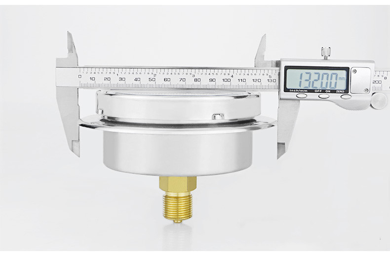 100mm Diaphragm Type 304ss Stainless Steel Back Capsule Pressure Gauge with Flange