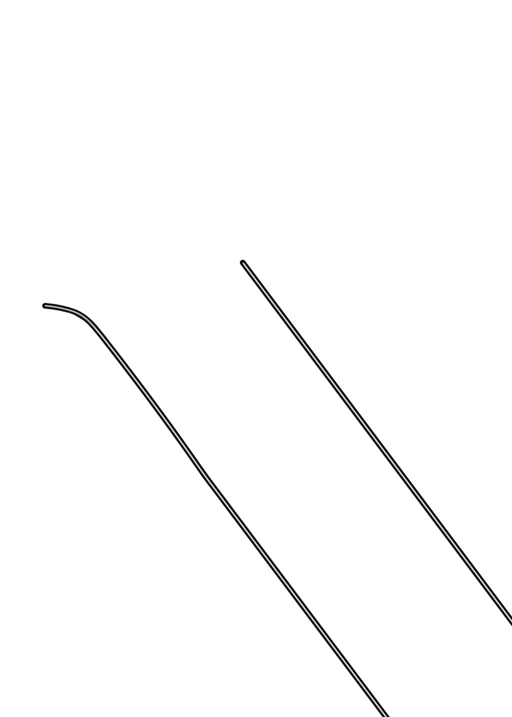 Hydrophilic Guide Wire