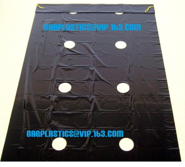 Weed Control Mulch Film, Agriculture Vegetable Black PE Films, 5 Holes Greenhouse Perforated Film