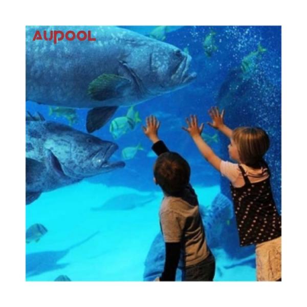 Design de mode piscine en PVC adulte enfants durable gonflable cadre acrylique piscine