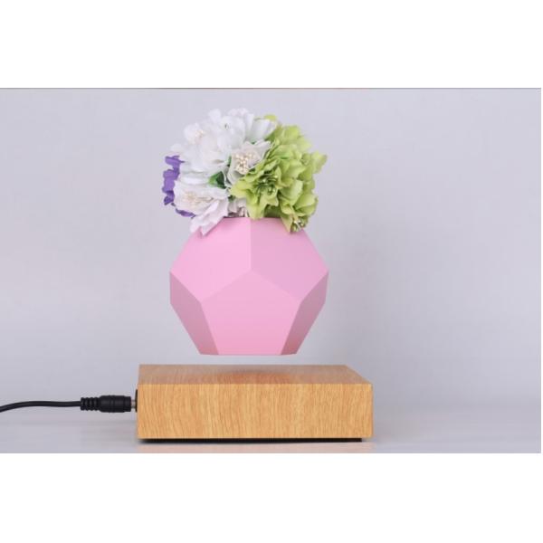 LYFE levitating planter,MAGNETIC levitation air bonsai tree pot plant