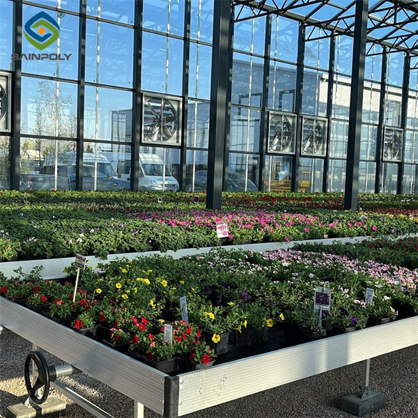Custom Dutch Venlo Greenhouse Modern Farms Greenhouse With Intelligent Control System