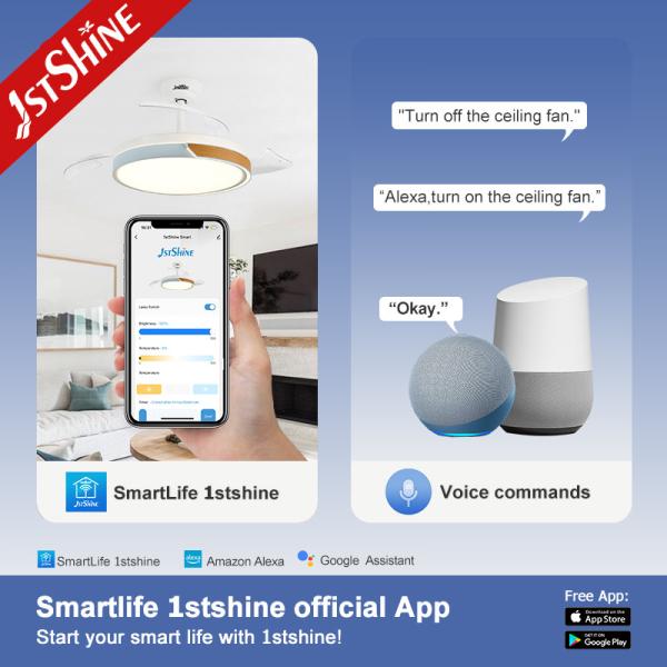 Ventilateur de plafond LED intérieur de 42 pouces avec lames invisibles et commutateur de télécommande