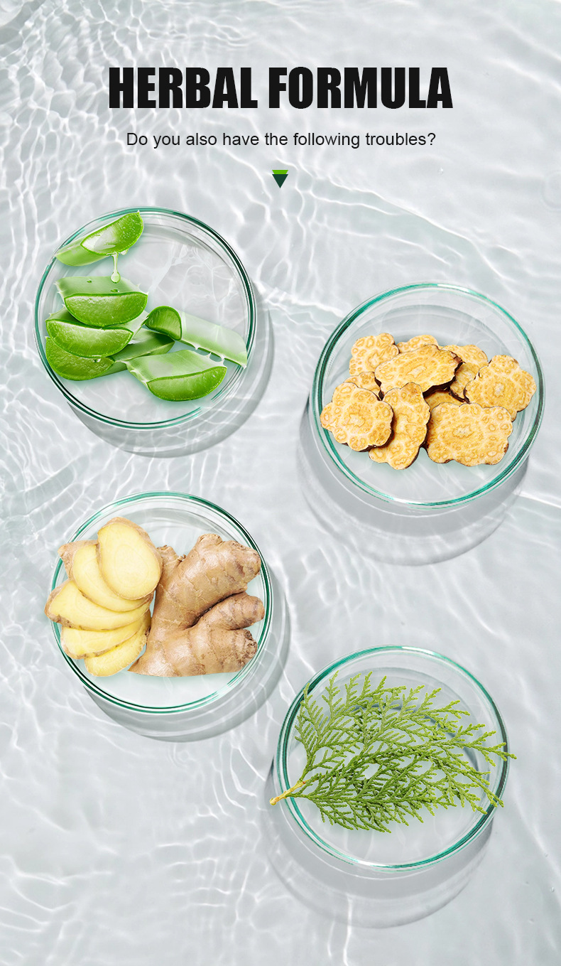 Shampoo Coloration Cheveux Mousse Rapide 3 en 1 Formule Végétale 500ml