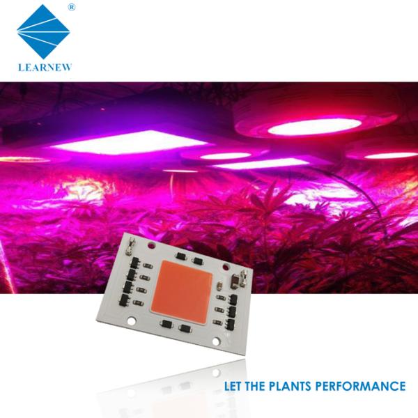 380-780nm полный спектр светодиодных растений 50W с высокой эффективностью COB LED