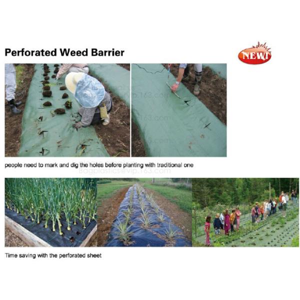 Agriculture Ground Cover/Mulch Film/Weed Mat,Biodegradable black and white film for agricultural mulching film,compostab